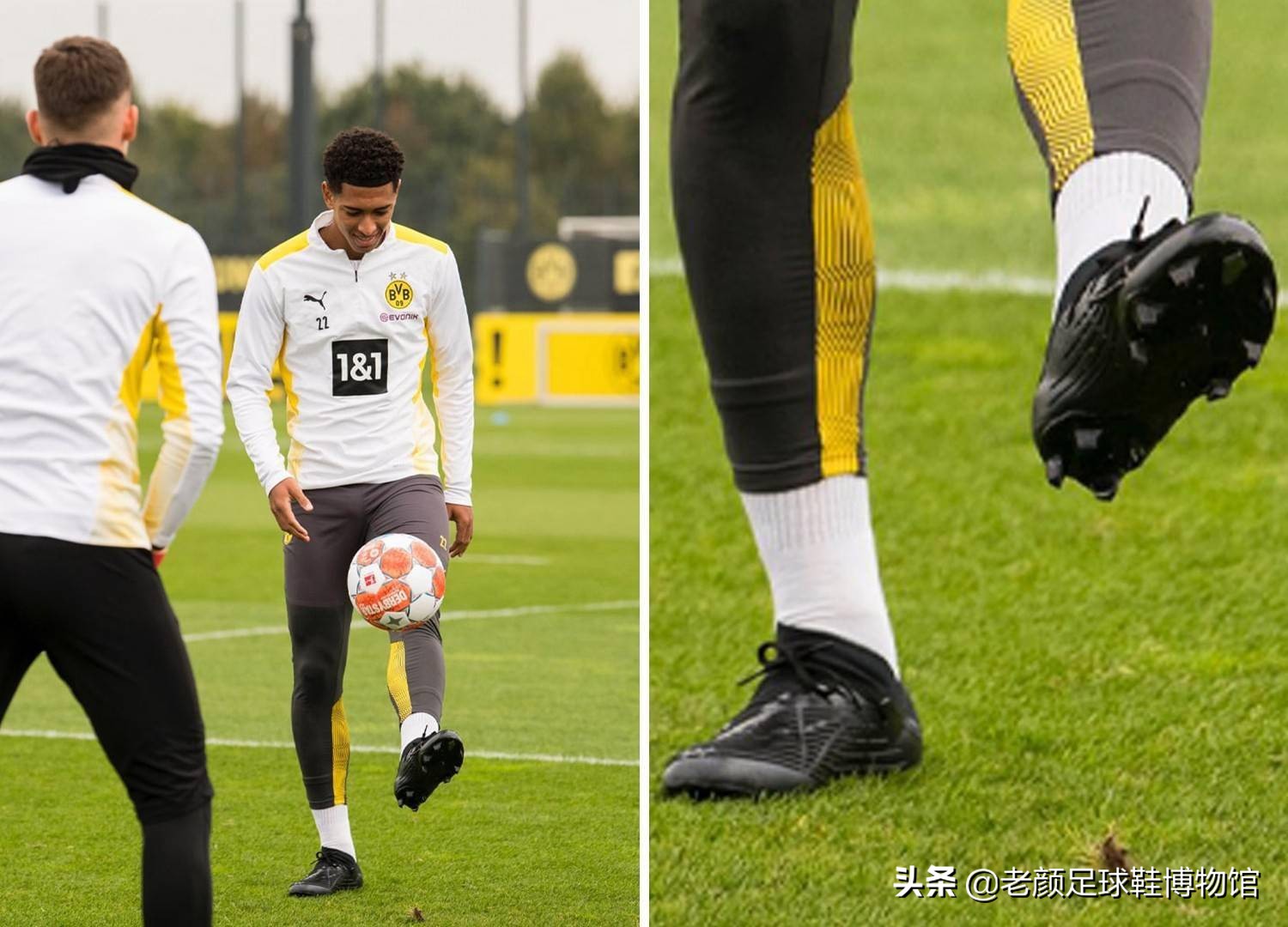 可能反向影 可能反向影