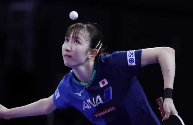 本文不追逐 本文不追逐